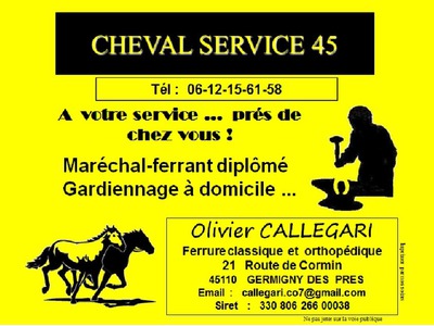 CHEVAL SERVICE